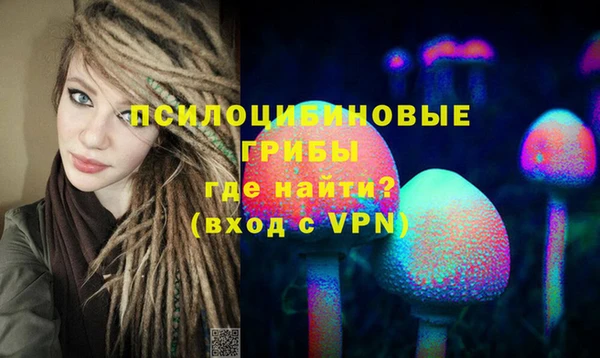хмурый Алзамай