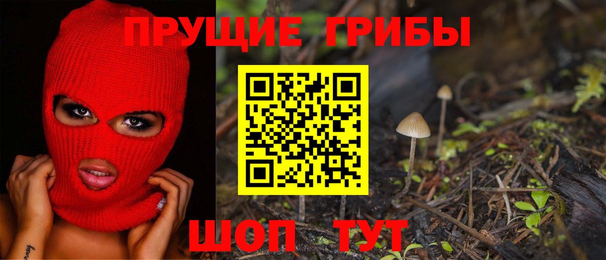 Истра  Псилоцибиновые грибы ЛСД  Псилоцибиновые грибы MAGIC MUSHROOMS  Вход с VPN 